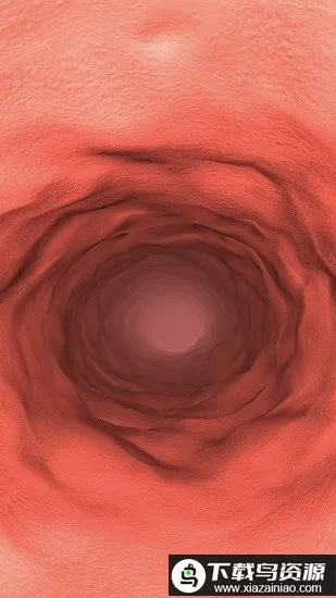 ����̽��2026�ٷ�����