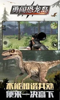 �´�������