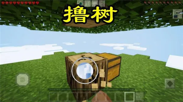 �ҵ�����ѹ���յ������ֻ���