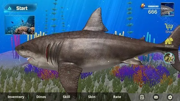 �޳���ģ����2026���°汾