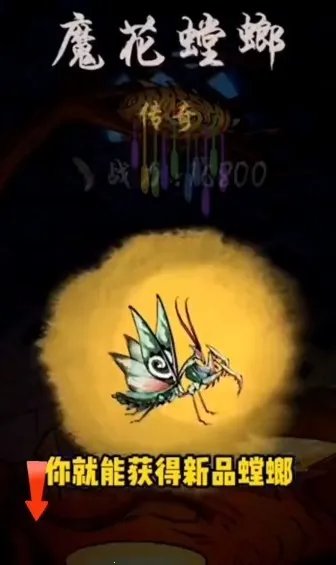 ��Ʒ���2026���°汾