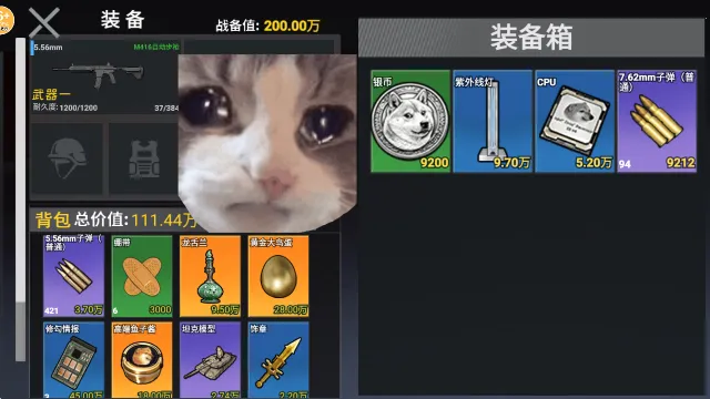 �޹�������2026�ٷ�����