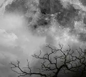 �����ù�2026���°汾