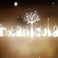 botanicula������