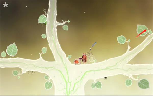 botanicula����