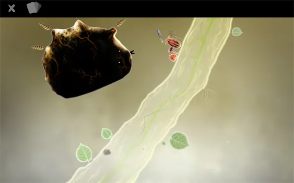 botanicula����