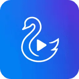 ������Ƶ��װ