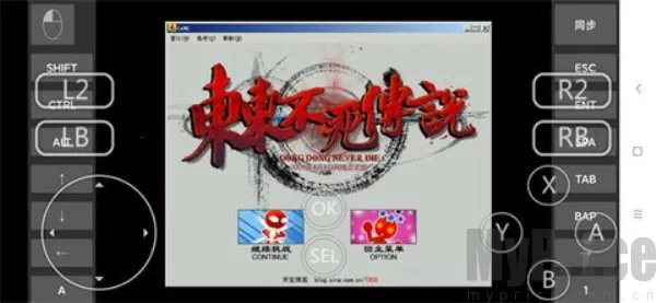 ����������˵����