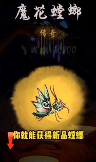 ��Ʒ����ƽ����ò˵���