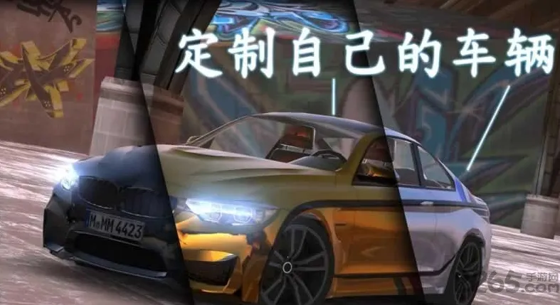 ��ʵͣ��ģ����2�ƽ�����޽�Ұ�����v0.30.1 ��Ѱ��ͼ3