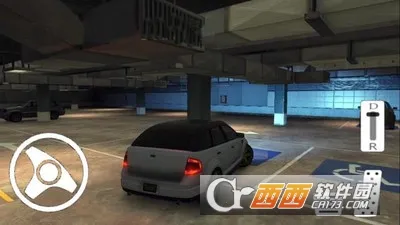 ��ʵͣ��ģ����2�ƽ�����޽�Ұ�����