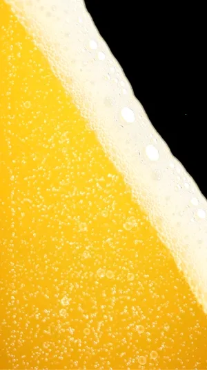 ơ��ģ����2026���°汾