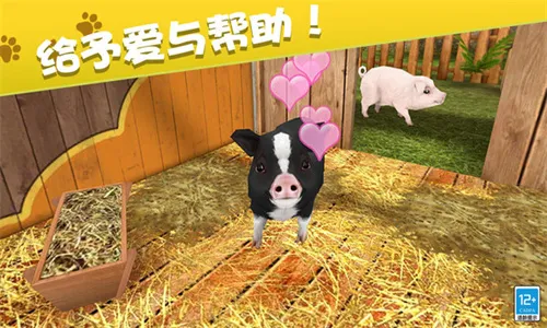 �ҵĶ������������ֻ���