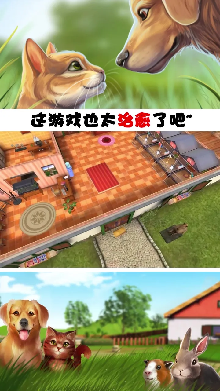 �ҵĶ������������ֻ���