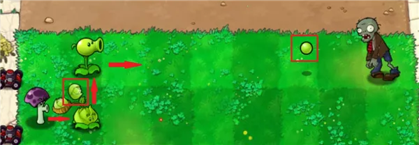 ֲ���ս��ʬ��С��֮��