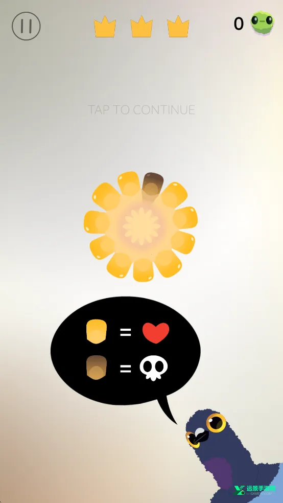 ���ĸ���pigeonpop