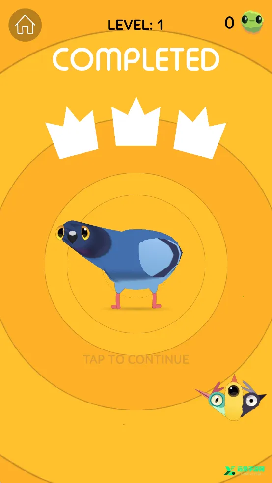 ���ĸ���pigeonpop