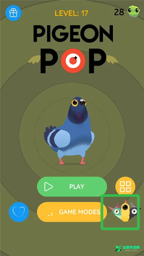 ���ĸ���pigeonpop