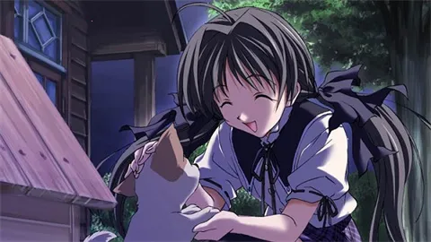 ��֮����22026���°汾