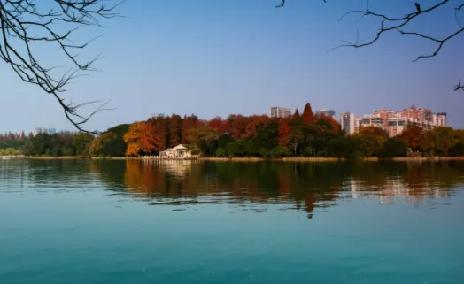 B12���2026�ٷ����°汾