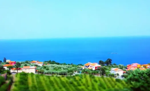 B12���2026�ٷ����°汾