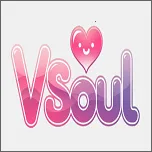 vsoulai2026�ٷ����°汾