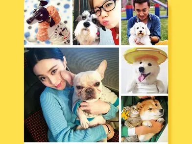 ���﷭����2026���ذ�װ