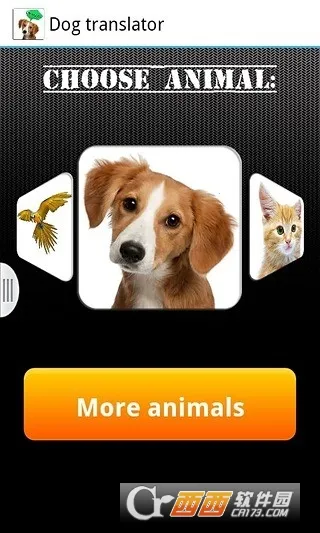 ���﷭����2026���ذ�װv3.4 ��Ѱ��ͼ2