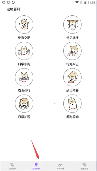 ���﷭����2026���ذ�װ