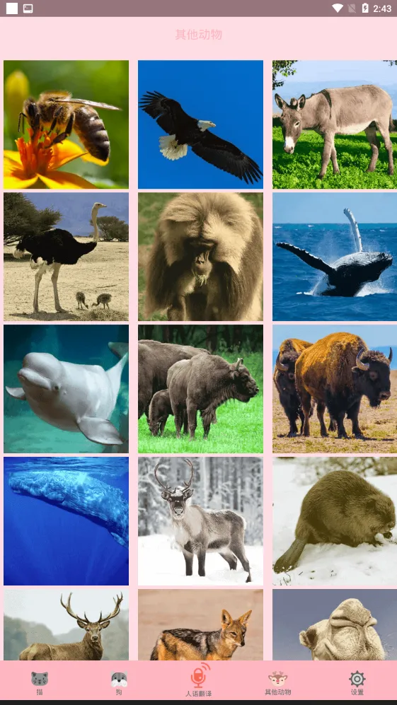 ���﷭����2026���ذ�װv3.4 ��Ѱ��ͼ3