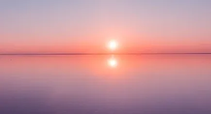 金湖发布安卓版手机版 金湖发布安卓版手机版