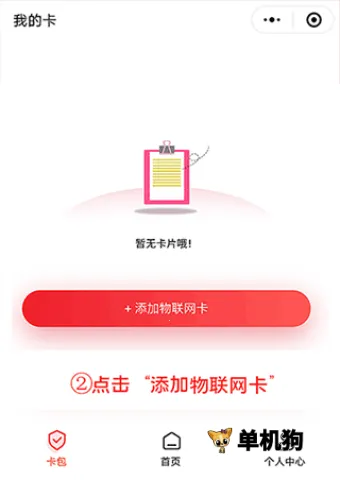 表鸽2026官方正版 表鸽2026官方正版