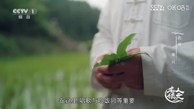 �䳲ֱ��TV���Ӱ�׿���ֻ���v6.6.9 ��Ѱ��ͼ1