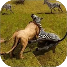 ��Ұ����ģ��