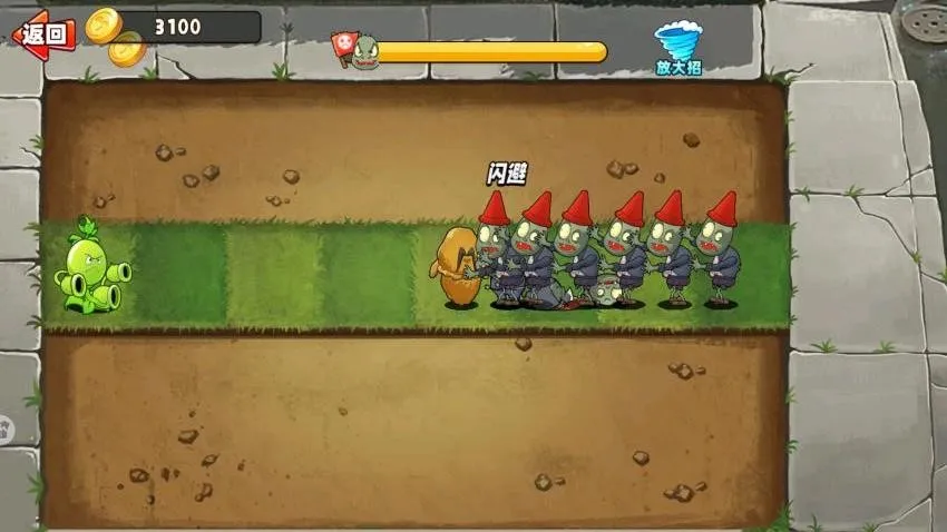 ����㶹����