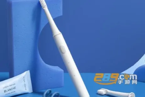 欧可林电动牙刷2026官方正版 欧可林电动牙刷2026官方正版