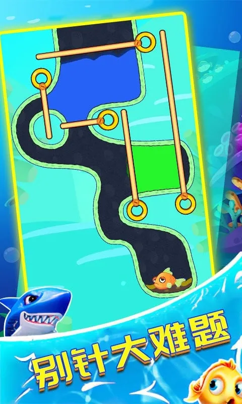 �Ⱦ�С�����׿���ֻ���