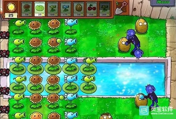 ֲ���ս��ʬCL