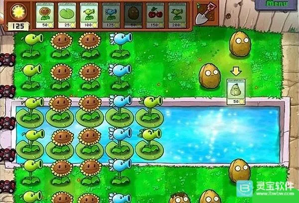 ֲ���ս��ʬCL