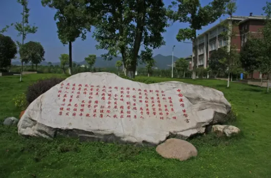 智汇重医2026官方最新版本 智汇重医2026官方最新版本