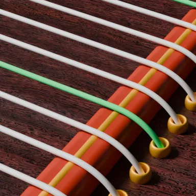 �������ֵ�����