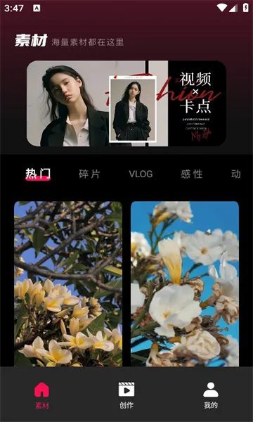 tibni安卓 tibni安卓