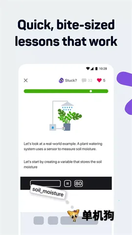 SoloLearn2026�ٷ����°汾v4.0.5 ��Ѱ��ͼ4