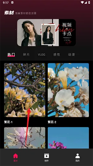 tibni-国际创作者服务平台 tibni-国际创作者服务平台