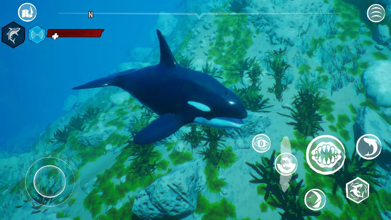 食人鲨手机版 食人鲨手机版