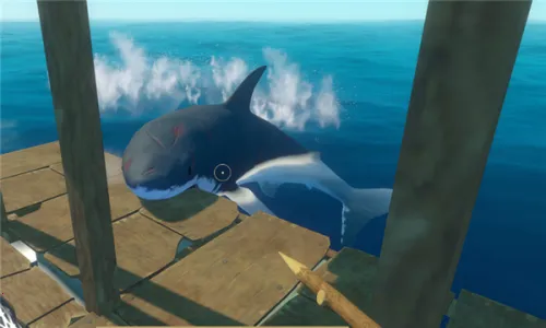 ľ�������ƽ��v317 ��Ѱ��ͼ4