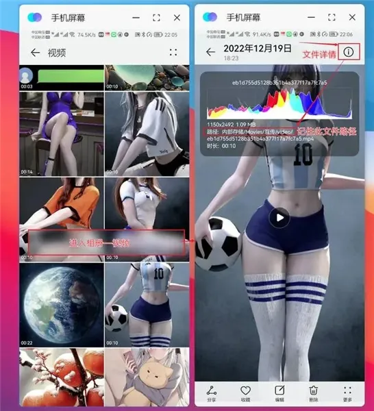 ����Э��������