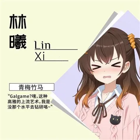 ���ΪGalgame�������׿���ֻ���