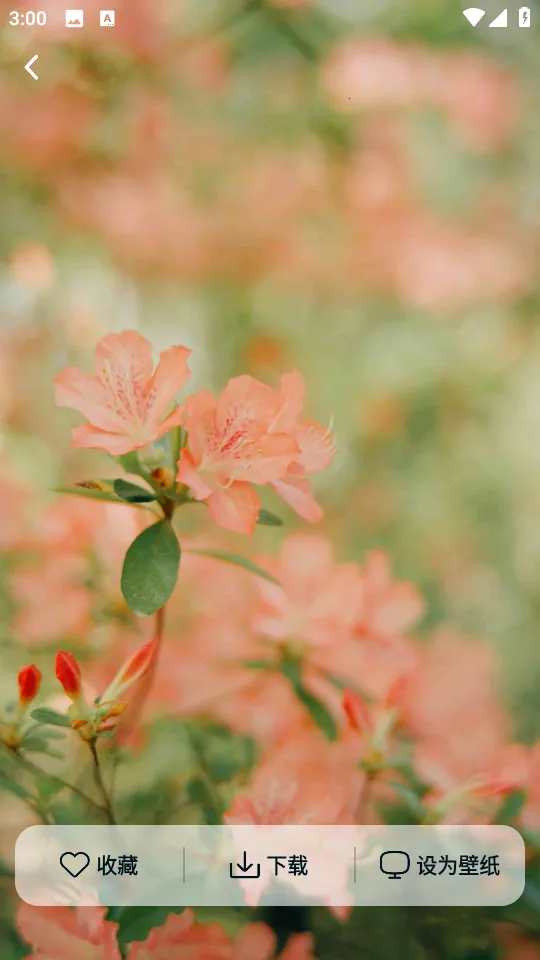 Ծ����ֽ��׿���ֻ���v1.6.0 ��Ѱ��ͼ1