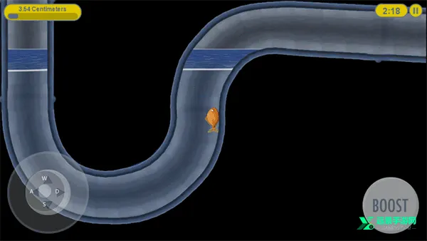 ��ζ��������2026���ذ�װ